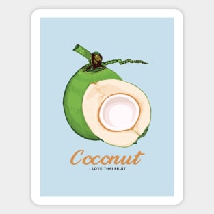 Coconut Magnet